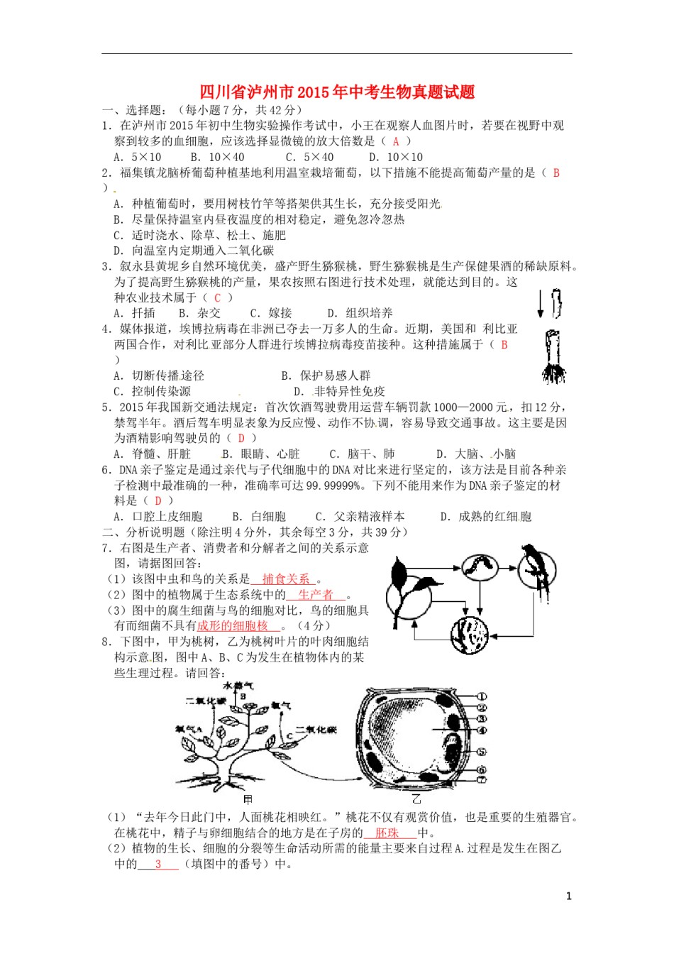 四川省泸州市2015年中考生物真题试题（含答案）.doc_第1页