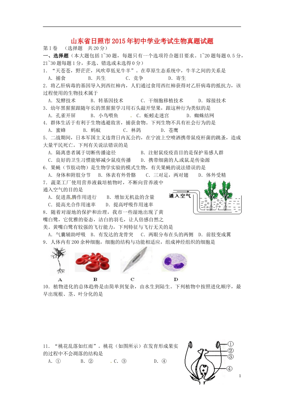 山东省日照市2015年中考生物真题试题（含答案）.doc_第1页